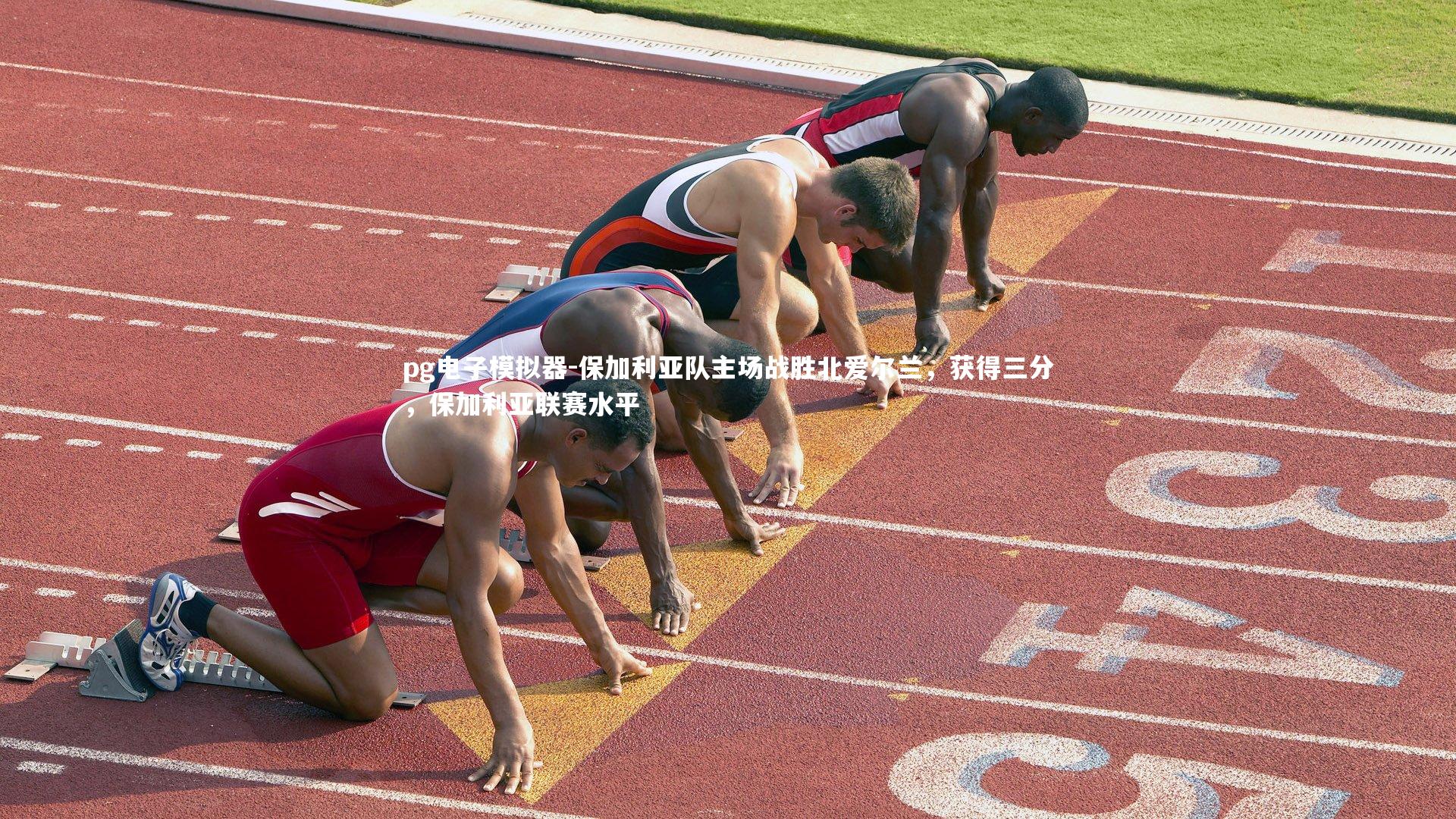 保加利亚队主场战胜北爱尔兰，获得三分，保加利亚联赛水平